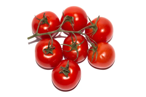 Cherry Tomatoes White Background — Stock Photo, Image