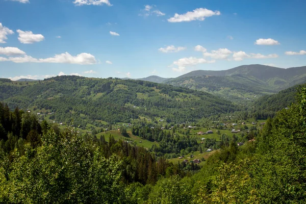 Bright morning in the Carpathians