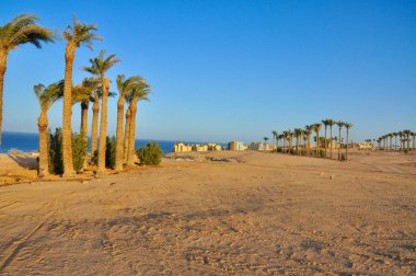 Unusual view of the Egyptian desert