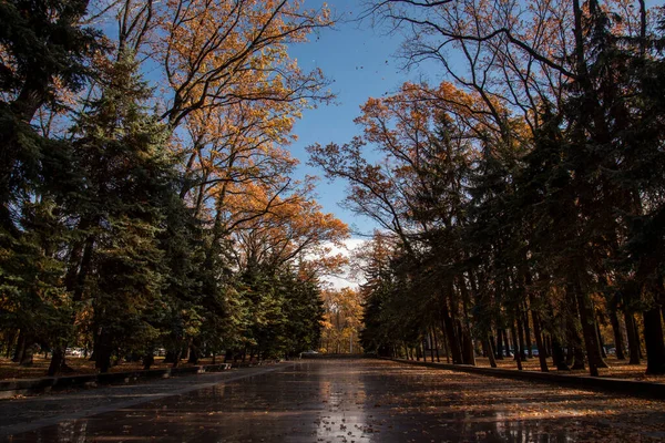 Memorial Glory Kharkov — Fotografia de Stock