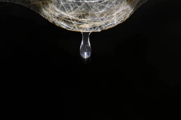 Gota Agua Sobre Fondo Negro — Foto de Stock