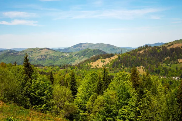 Bright Morning Carpathians —  Fotos de Stock