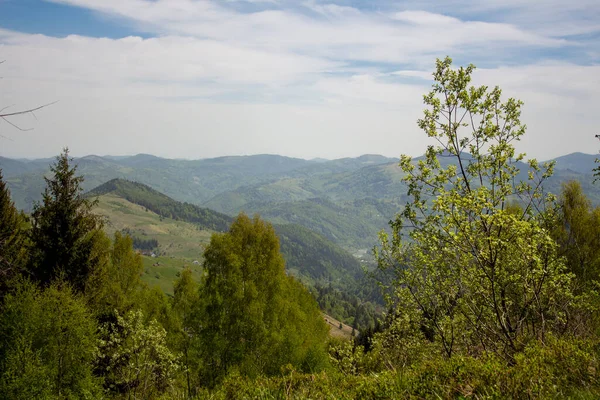 Bright Morning Carpathians —  Fotos de Stock