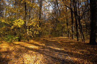 Memorial of Glory in Kharkov