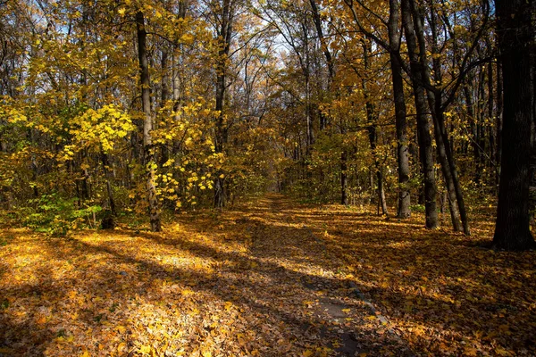 Memorial of Glory in Kharkov