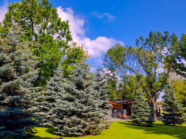 Şehir parkındaki ahşap ev, Kharkiv, Ukrayna