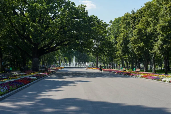 Jardín Verano Shevchenko Kharkiv Ucrania — Foto de Stock