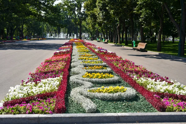 Shevchenko Yaz Bahçesi, Kharkiv, Ukrayna