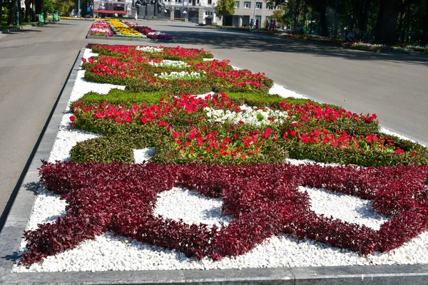 Shevchenko Yaz Bahçesi, Kharkiv, Ukrayna