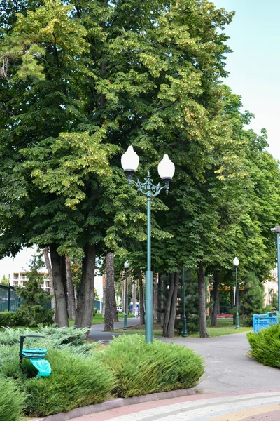 Kharkov Gorky Park War Ukraine — Stock Photo, Image