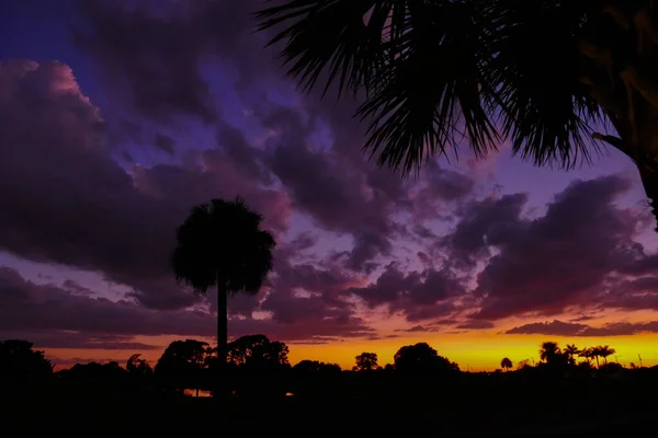 Coucher Soleil Violet Ciel Avec Orange Floride — Photo