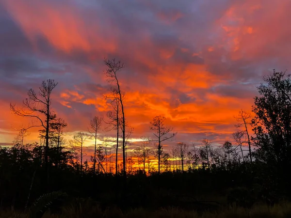 Coucher Soleil Sur Zone Naturelle Naples Floride — Photo