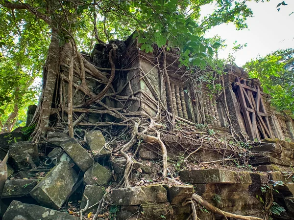 Ruinas Antigua Biblioteca Cubierta Raíces Árboles Camboya —  Fotos de Stock