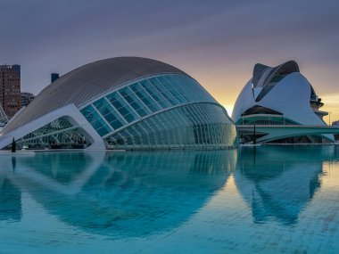 Valencia İspanya 'da Sanat ve Bilim Şehri manzarası