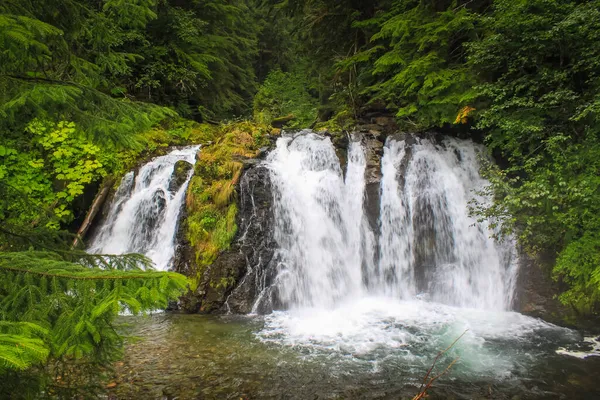 Une Cascade Dans Les Bois Juneau Alaska — Photo