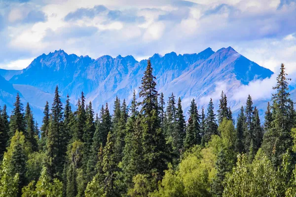 Trenden Denali 'ye Alaska' daki dağ ve ormanların manzarası.