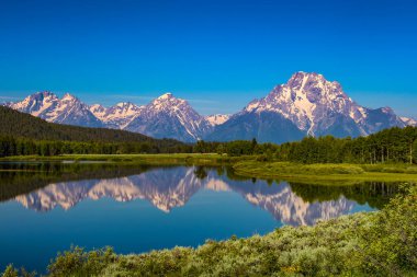 Yellowstone Wyoming 'deki karlı dağları yansıtan suya yakın çekim
