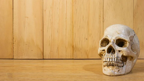 Cranio Testa Tavolo Legno Istruzione Halloween Concetto Sfondo — Foto Stock