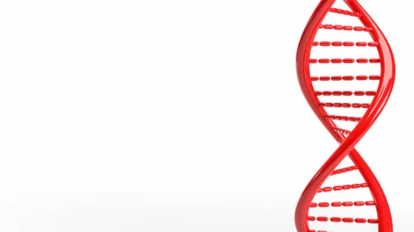科学的または医学的概念の3Dレンダリングのための白い背景の赤いDna — ストック写真