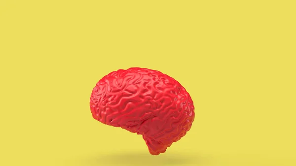 黄色の背景色の赤い脳3Dレンダリング — ストック写真