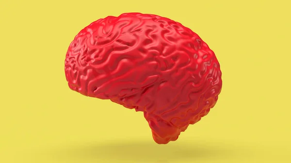 Červený Mozek Žlutém Pozadí Vykreslování — Stock fotografie