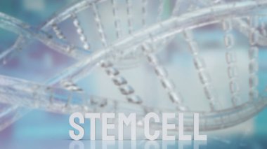 stem cell text on dna background for sci or medical concept 3d rendering