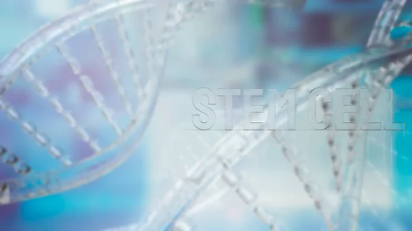 Stem Cell Text Dna Background Sci Medical Concept Rendering — ストック写真