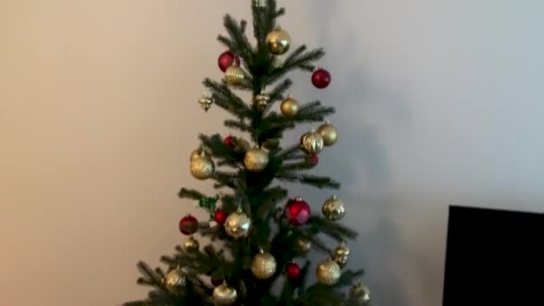 Un piccolo albero di Natale al coperto — Video Stock