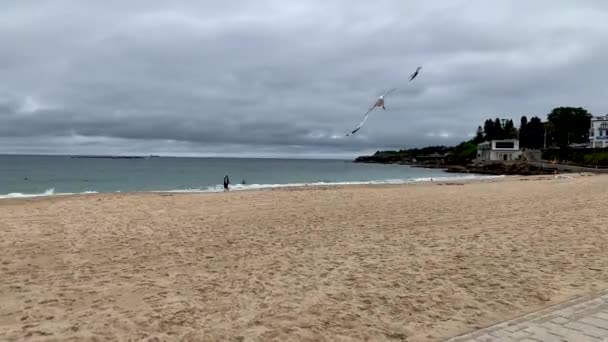 Bewegungseinbruch am Coogee-Strand in Sydney, Australien — Stockvideo