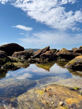 Temiz bir yansıması olan küçük bir su birikintisi