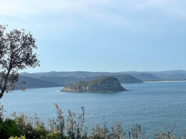 Okyanusta yüzen adalar ve dağlar