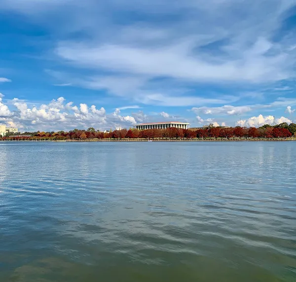 Drzewa nad brzegiem jeziora Burley Griffin w Canberze — Zdjęcie stockowe