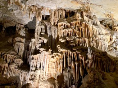 Jenolan Mağaraları, Mavi Dağlar, Sydney, NSW Avustralya