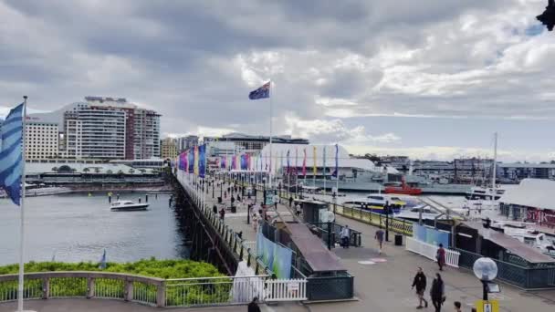 Darling Harbour and Pyrmont Bridge, Sydney - overdag — Stockvideo