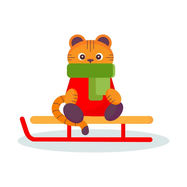 Kızağın üzerinde yeşil eşarplı şirin bir kaplan. Beyaz arka plan. Vektör illüstrasyonu