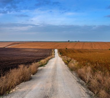 Kahverengi soya fasulyesinin dalgalı tepeleri ve sonbaharda sürülmüş topraklar, taştan yol çizgisi, geometri