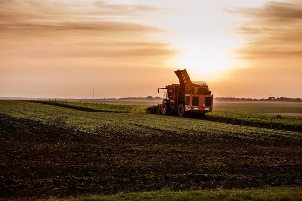 Bieten Oogsten Met Een Combinatie Avond Herfst Zonsondergang — Stockfoto