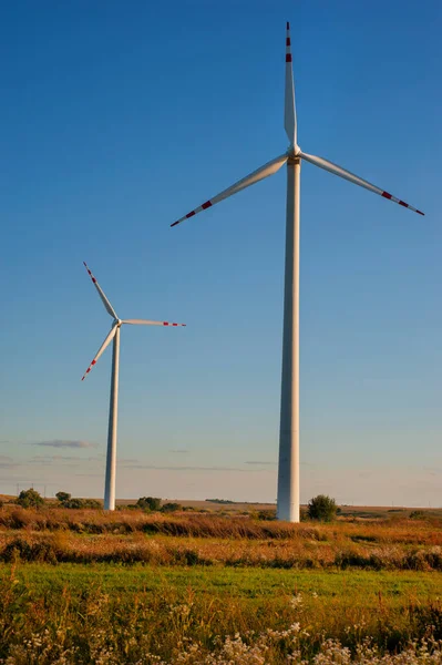 Eco Power Two Wind Turbines Field Blue Sky Background — Stock Photo, Image