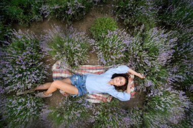 Üst manzara, güzel, seksi kız lavanta tarlasında yatıyor, dinlenme zamanı.
