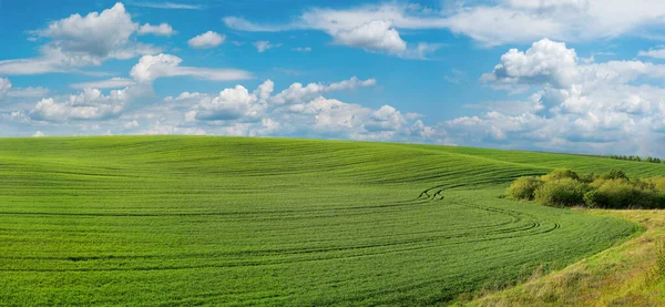 Campo Verde Com Linhas Curvas Céu Azul Com Nuvens — Fotografia de Stock