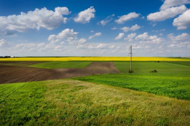 farm green wheat field, lines of arable land and rapeflowerfield landscape with baeautiful sky