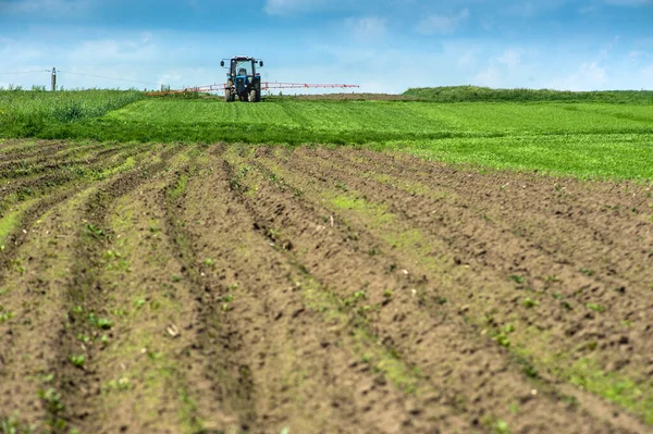 Sprayer Wheat Field Spring Agricultural Land — Foto Stock