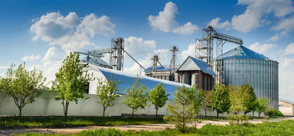 Agricultural Silos Storage Drying Grains Wheat Corn Soy Sunflower Sky — 图库照片