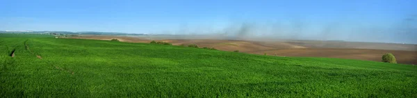 Панорама Зелених Полів Озимої Пшениці Хмар Пилу Пагорбах Оранжевих Земель — стокове фото