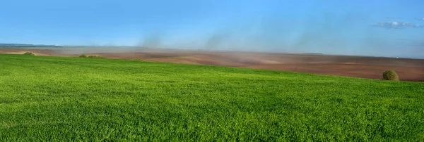 Панорама Зелених Полів Озимої Пшениці Красиві Пейзажі Оранжевих Пагорбів Пилових — стокове фото
