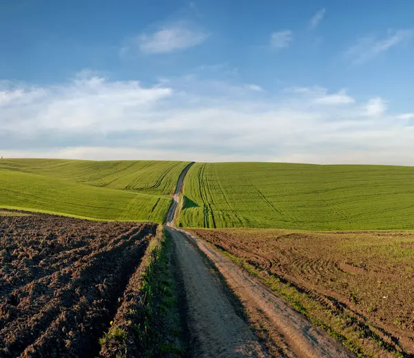 Estrada Suja Primavera Arado Campo Relevo Paisagem Montanhosa Verde Trigo — Fotografia de Stock