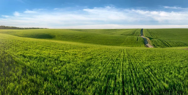 Yeşil Çimen Tarlası Tepeler Bulutlu Mavi Gökyüzü Ile Manzara Çizgileri — Stok fotoğraf