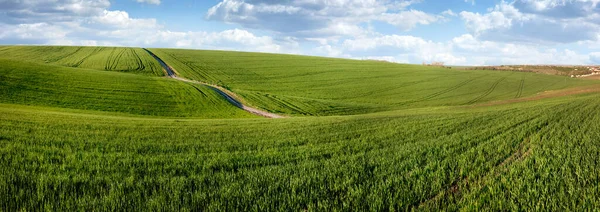 Yeşil Çimen Tarlası Tepeler Bulutlu Mavi Gökyüzü Ile Manzara Çizgileri — Stok fotoğraf