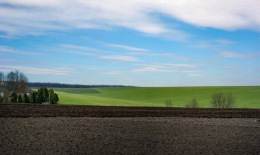 Yeşil tarlalı panoramik manzara, mavi gökyüzü bulutlar, baharda tarım