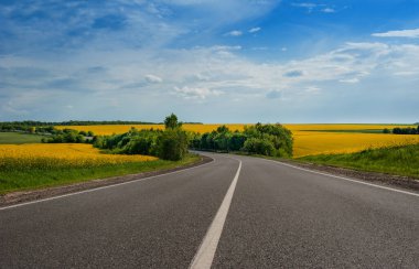 Kırsalda güneşli bir yaz gününde yol, mavi gökyüzü olan kolza tohumu tarlaları.